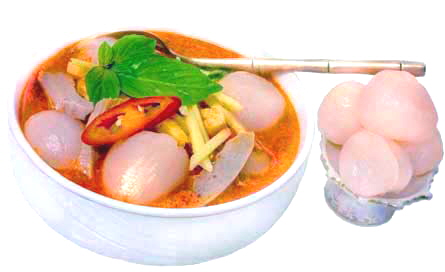 01.2026-LycheeEntenCurry-HP