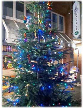 Weihn.baum-aussen Weihn.baum-aussen