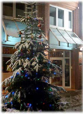 Weihn.baum-aussen1 Weihn.baum-aussen1