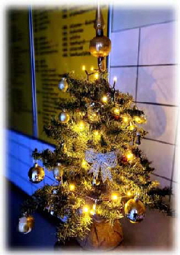 5-Weihn.baum-Kueche 5-Weihn.baum-Kueche