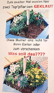 07.2025-wieder-wg.-Blumen-B